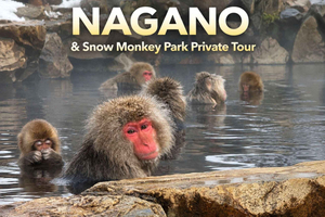 Privat dagstur til Nagano med engelsktalende guide