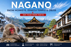 Privat skræddersyet tur til Nagano Snow Monkey Park