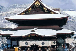 Tokyo/Nagano: Privat tur med sneaber, der kan tilpasses fuldt ud