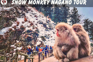 Tokyo: Nagano Zen Calligraphy, Tea Ceremony & Monkeys