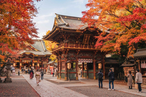 Tokyo Night Walk: Kanda Shrine, Akihabara Neon & Beer