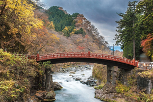 Tokyo: Nikko Private Day Trip with Punjabi guide