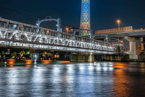 Tokyo Private City Tour Customizable with English Guide
