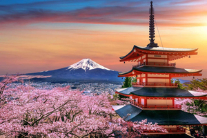 Tokyo: Private Customizable Mt. Fuji & Hakone Full-Day Tour