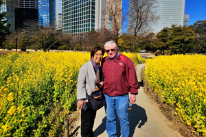 Tokyo: Private & Customizable Tour - All-in-One Experience