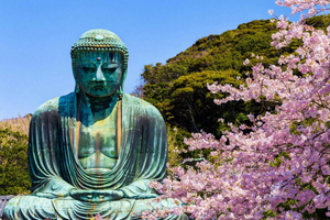 Tokyo:Private Cutomizable Day Tour to Kamakura