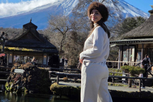 Tokyo:Private Mt Fujj & Lake Kawaguchiko Scenic Tour