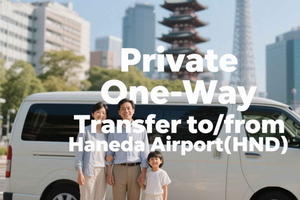 Tokyo: Private One-Way Transfer to/from Haneda Airport (HND)