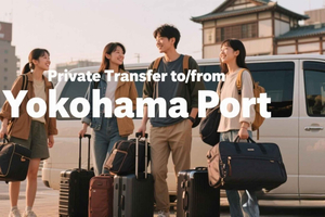 Tokyo: Private Transfer to/from Yokohama Port