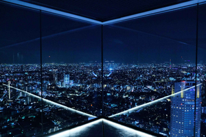 Tokyo: Shibuya Sky, Harajuku & Meiji Shrine Highlights Tour