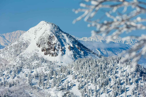 Tokyo: Shiga Kogen Ski Resort day Tour With English driver
