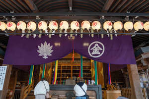 Tokyo: Shinto and Buddhism Walking Tour with Guide