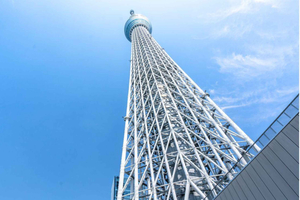 Tokyo: Skytree Guided Tour with Tembo Galleria Entry