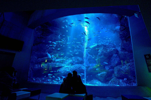 Tokyo: Sumida Aquarium Entry Ticket