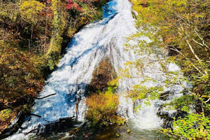 Tokyo to Tobu World square, Kegon falls & Lake chuzenji