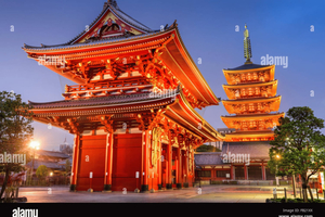 Tokyo: Tokyo Full Day Private Customizable Sightseeing Tour