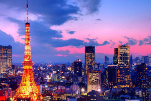 Tokyo: Tokyo Private Tour With hotel pick-up and Drop-off