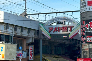 Tokyo: Ueno Park and Ameyoko Street Walking Tour