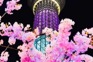 Tokyo/Yokohama: Tokyo City Private Night Tour with Pickup