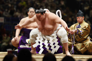 Yokohama Sumo Jungyo Tournament Trip on Apr 16th 2026
