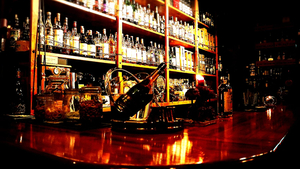 Bar Livet Whisky & Cocktail ( Shinjuku )