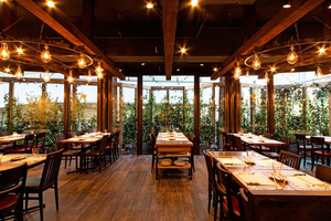 Barbacoa Shibuya Branch