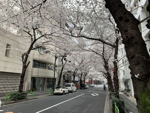 Center Hotel Tokyo