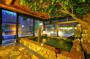 Dormy Inn Akihabara