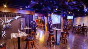Hunters Bar In Akihabara Tokyo