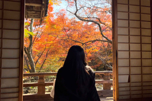 Japan: Travel Vlog: Self-Shoot Guide & Video Editing Service