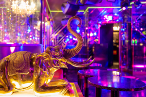 Maharaja Roppongi
