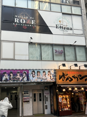 Mermaid Akihabara Concafe