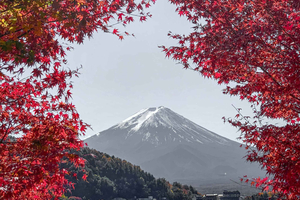 Mount Fuji,Lake Kawaguchiko Private Tour By Car With Pick Up