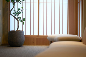 Plasma Med Bed -Tokyo-