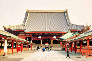 1-Day Private Customizable Tour by Car