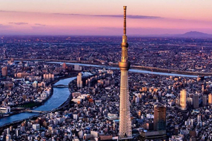 Tokyo: City Highlights Tour with Hidden Bars and Temples