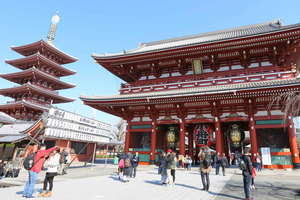 Private City Highlights Tour with Local Guide
