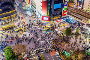 Tokyo: Private Full day customized Tour with English Driver