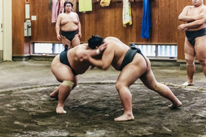 Visita di allenamento mattutino di sumo