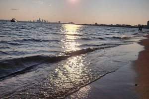 Fietstocht: Toronto-eilanden – Distillery District (privé)