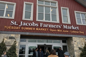 From Toronto - AYCE Maple Syrup Tour + St Jacobs Farmers Market