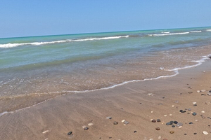 Full-Day Beach Day at Grand Bend