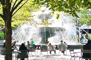 Toronto: City Walking Tour