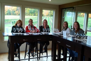 Visit Niagara Falls and experience a VIP Wine Tour
