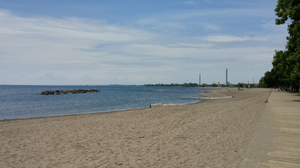 Balmy Beach Club