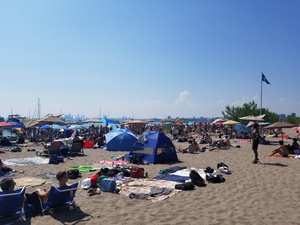 Hanlan's Point Beach