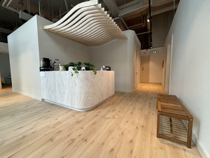 Haven Wellness