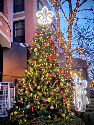 Hotel Yorkville