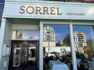 Sorrel