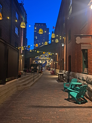 The Distillery District